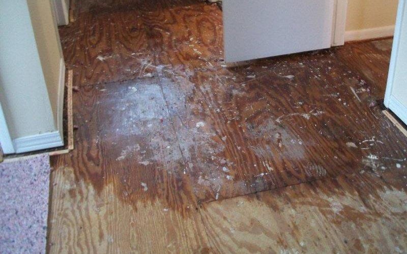 portland maine water damage restoration