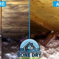 Mold in attic before and after